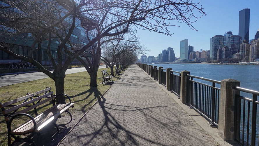 NYC_2024-02-05 13-27-36_RX_07434